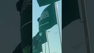 94th National day | Happy National Day Saudi Arabia | I 💚Saudi #shorts #happynationaldaysaudi