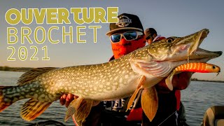 OUVERTURE PÊCHE DU BROCHET 2021 🎣 LAC FORET D'ORIENT - NÉO SHALLOW DELALANDE #174