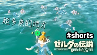 【薩爾達傳說曠野之息】這邊！超多魚🐟🐠🐡 #shorts