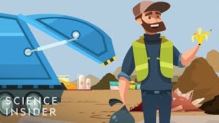 How Long Does Your Garbage Take To Decompose?