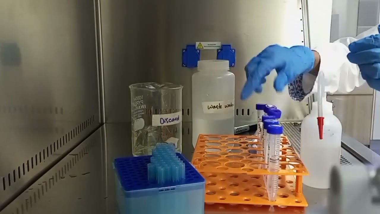 Practical Demonstration Of Serial Dilution Preparation - YouTube