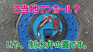 ご当地マンホール？いや、制水弁の蓋です！！