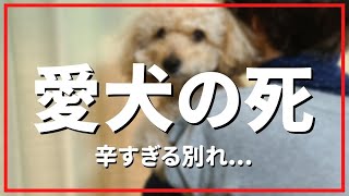 【70代熟年離婚】家族になってくれてありがとう...