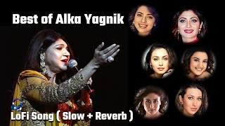 LoFi | Best Of Alka Yagnik | Alka Yagnik  Hit Songs |  Slow Reverb | @EnigmaVerseTV