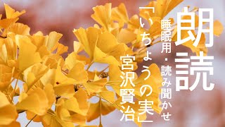 「いちょうの実」宮沢賢治【読み聞かせ】＃朗読