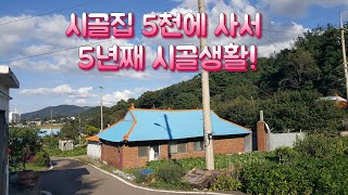 시골집 5천에 사서 5년째 시골생활! 옛날집 여행 부동산 한옥 골동품 빈집 귀농 귀촌 부자집 멋진풍경 옛날풍경 멋진정원