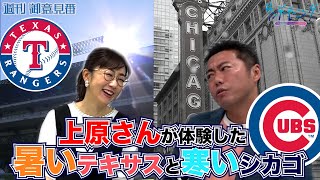 MLB教えて御意見番(後編)!!上原浩治さんに所属したMLB球団の特徴を聞きました!【サンデーモーニング】