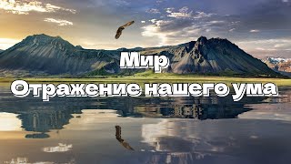 Мир - Отражение нашего ума. Стивен Левин