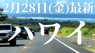 ハワイ最新【2月28日(金)】10名様どこでもツアー