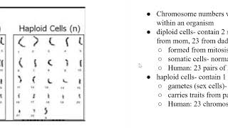 Karyotype and Chromosome Number