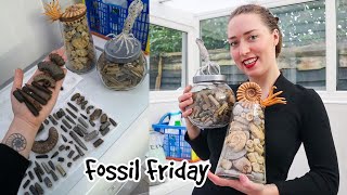 Recent Fossil Finds - Sort \u0026 Clean Process -  Fossil Friday