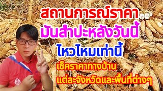 ส่อง!ราคารับซื้อหัวมันฯสดจ.โคราชวันนี้ พร้อมราคาจากทางบ้านที่ขายกันไหวไหม พื้นที่ไหนใครได้เท่าไหร่?