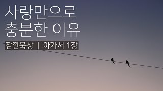 [잠깐묵상] 아가서 2장 | 사랑만으로 충분한 이유 | 성경통독 | QT