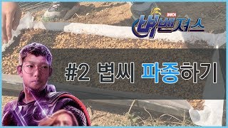 [벼벤져스] #2 볍씨 파종하기