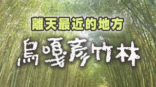 烏嘎彥竹林 / 泰雅語 離天最近的地方 /媲美嵐山的竹林/ 拍照好景點/一日遊650元 / RURU旅行趣