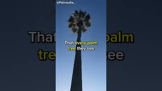 Unveiling the Secrets of the Oldest Palm Tree 🌴 in Los Angeles with Tom Fassbender - Palms of LA