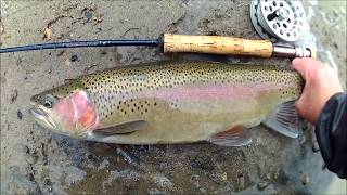 ROTORUA TROUT FISHING OKATAINA ON THE BEACH