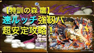 [トレクル] 【特訓の森 鷹】速ルッチ強靭パで安定攻略！