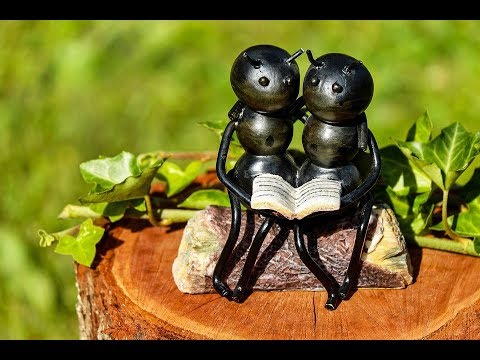 Discovery of How to Tell Male Ants From Female Ants: Pirate Stu's Bootyful Joke of the Day #0392 Discovery of How to Tell Male Ants From Female Ants: Pirate Stu's Bootyful Joke of the Day #0392