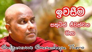 ඉවසීම, කේන්තිය පාලනය කලහැකි ප්‍රායොගික ක්‍රම - Galigamuwe Gnanadeepa Thero