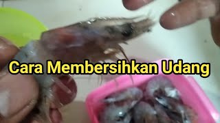 cara membersihkan udang