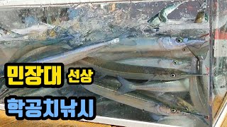 [ 서민낚시 407회 ] 민장대 선상 학꽁치낚시. 무료장비대여 부터 회까지 떠주는 선상낚시. 몸만 오시면 됩니다.