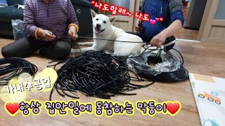 [121편]항상 집안일에 동참하는 막둥이❤시골은 가내수공업^^