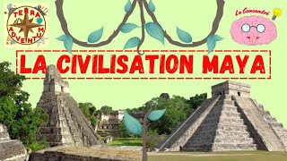 La civilisation MAYA [Le Concentré #19]