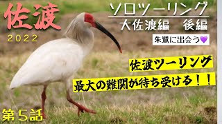 第58話【佐渡島】  大佐渡を走る！朱鷺に出会う おっかない後編 ♯ ５ ソロツーリング YAMAHABOLT 【バイク女子】ツーリングドキュメント