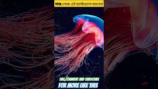 99% লোক এই ফ্যাক্টগুলো জানেনা। Amazing random facts in bangla. #shorts #youtubeshorts #short #facts