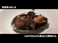 【vlog】年始フォトウォーク・初詣・食レポetc【浅草 鎌倉 表参道 人形町】