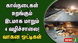 கால்நடைகள் உறங்கும் இடமாக மாறும் 4 வழிச்சாலை! வாகன ஓட்டிகள் விபத்தில் சிக்கும் அபாயம் | NewsJ