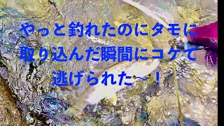 2022年9月12日　利根川本流テンカラ釣り（群馬県みなかみ町）   4K