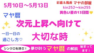 マヤ暦　宇宙のエネルギーと共鳴して最高の未来を創造しましょう！　夢を叶える過ごし方をナビゲートしています♡