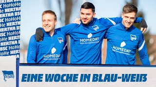 HaHoHe - Eine Woche in Blau-Weiß | 25. Spieltag | Borussia Dortmund vs. Hertha BSC