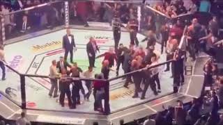 Conor McGregor vs Khabib Team Brawl After UFC 229