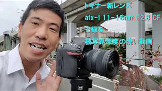 【トキナー新製品atx-i 11-16mm F2.8 CF】秋の気配？を被写界深度の浅い動画で録る！（動画No.402）