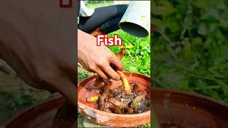 Catching goldfish with a pipe #fish #fishing #shorts #catfish