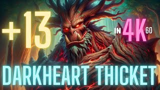 +13 Darkheart Thicket Mythic Plus Dungeon | TYRANNICAL ENTANGLING | Protection Paladin