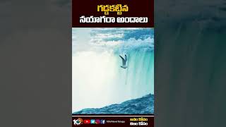 గడ్డకట్టిన నయాగరా అందాలు | Frozen Niagara Falls | #shorts #10tv