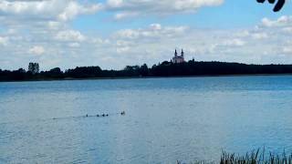 Jezioro Wigry-Wigierski Park Narodowy