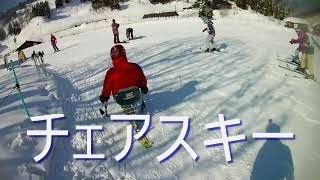 2019.1.30ｷｭｰﾋﾟｯﾄﾊﾞﾚｲ　ﾁｪｱｽｷｰMさん追い撮り　其の弐　 ﾁｪｱｽｷｰの曲がり方がわかります