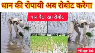 अब धान लगेंगे रोबोट से ! l देखेंll #agriculture #robot