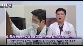 KNN 건강 365 위암예방은 소화제대신 내과찾으세요. 양산홍내과의원 대표원장 \