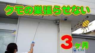 【クモの巣対策】軒下 窓ガラス 自販機 防犯カメラなどにスプレーしておけばクモの巣を張らせない！業務用 虫ブロック クモの巣 窓 ガラス用 蜘蛛対策 spiderweb