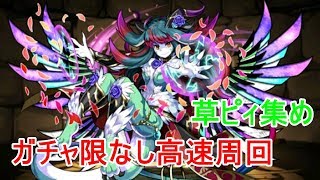 【パズドラ】特殊降臨リンシアを無課金ガチャ限無しマルチで高速周回して草ピィを集める