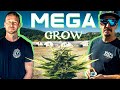 HUGE CANNABIS MEGA-GROW! Xotic Flavorz (EP 2)