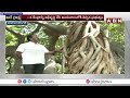 పిల్లల మర్రికి పూర్వ వైభవం 700 years old banyan tree pillalamarri abn telugu