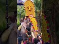 തിരുവമ്പാടി ചന്ദ്രശേഖരൻ തൂത പൂരം 2024 elephant pooram new trending viral shorts 2024