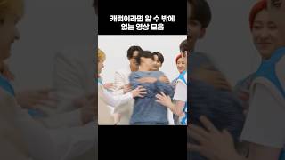 [세븐틴] 캐럿이라면 알 수 밖에 없는 영상 모음 #shorts